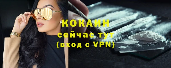 молекула духа Новозыбков
