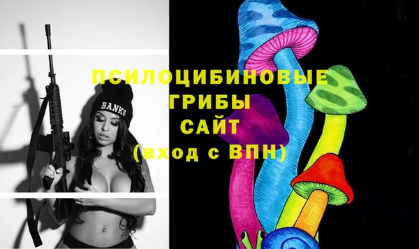 мет Арсеньев